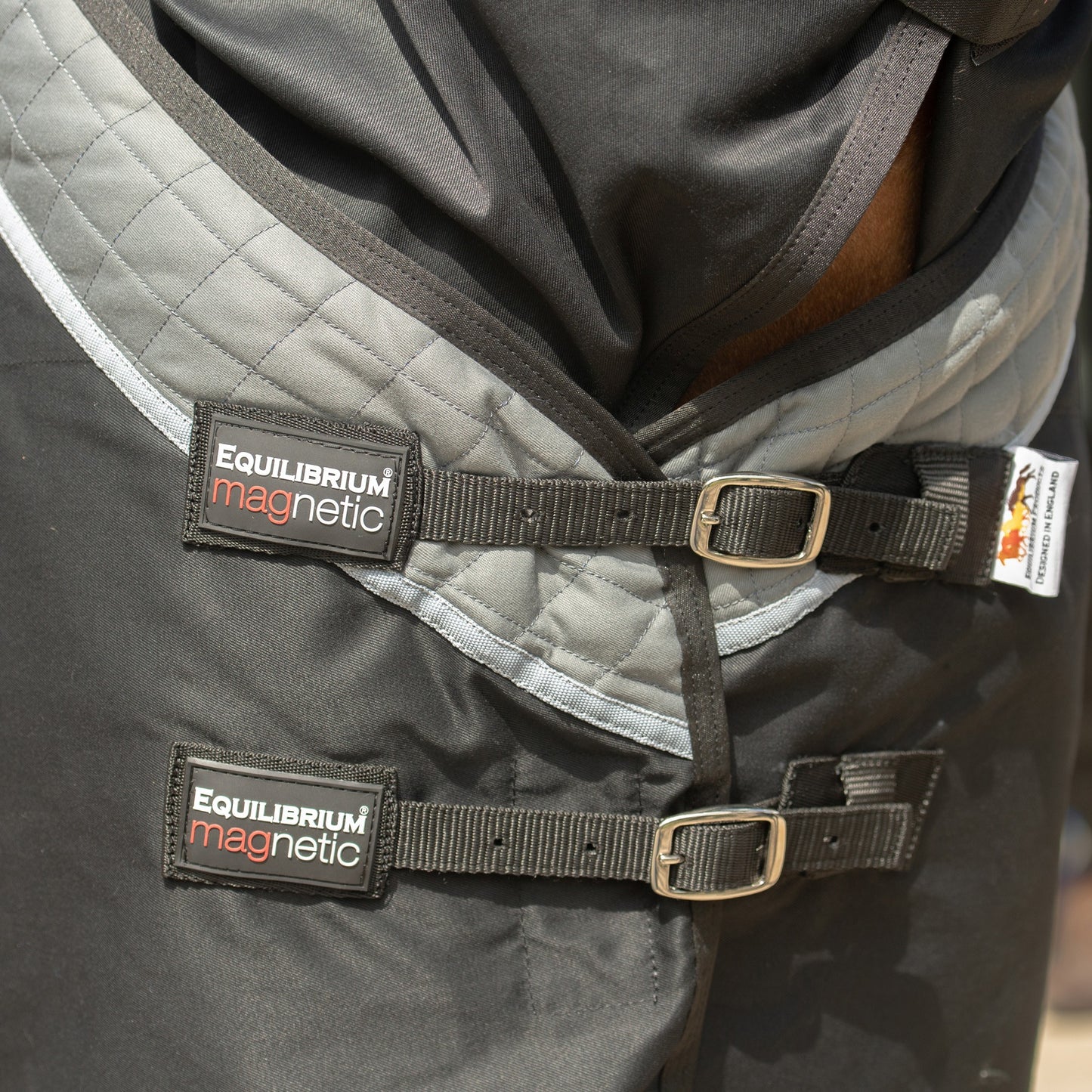 Couverture Magnétique - Soutien articulaire et mobilité cheval | Equilibrium