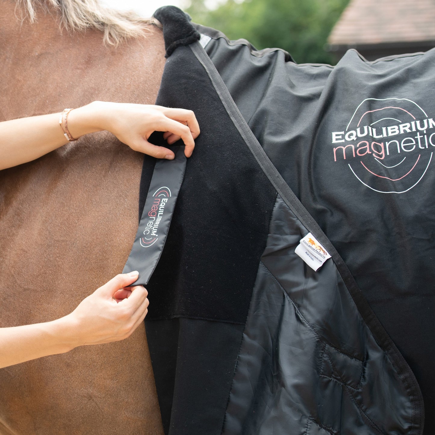 Couverture Magnétique - Soutien articulaire et mobilité cheval | Equilibrium