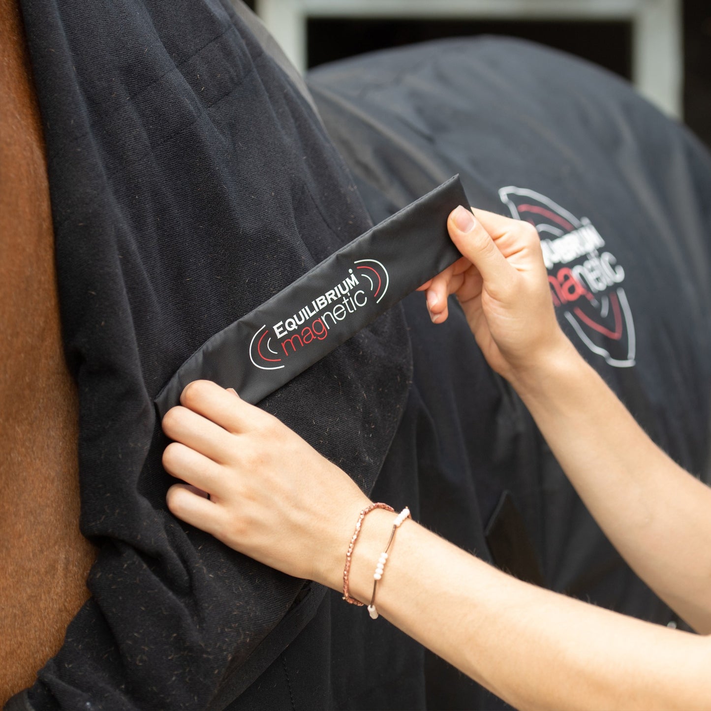 Couverture Magnétique - Soutien articulaire et mobilité cheval | Equilibrium