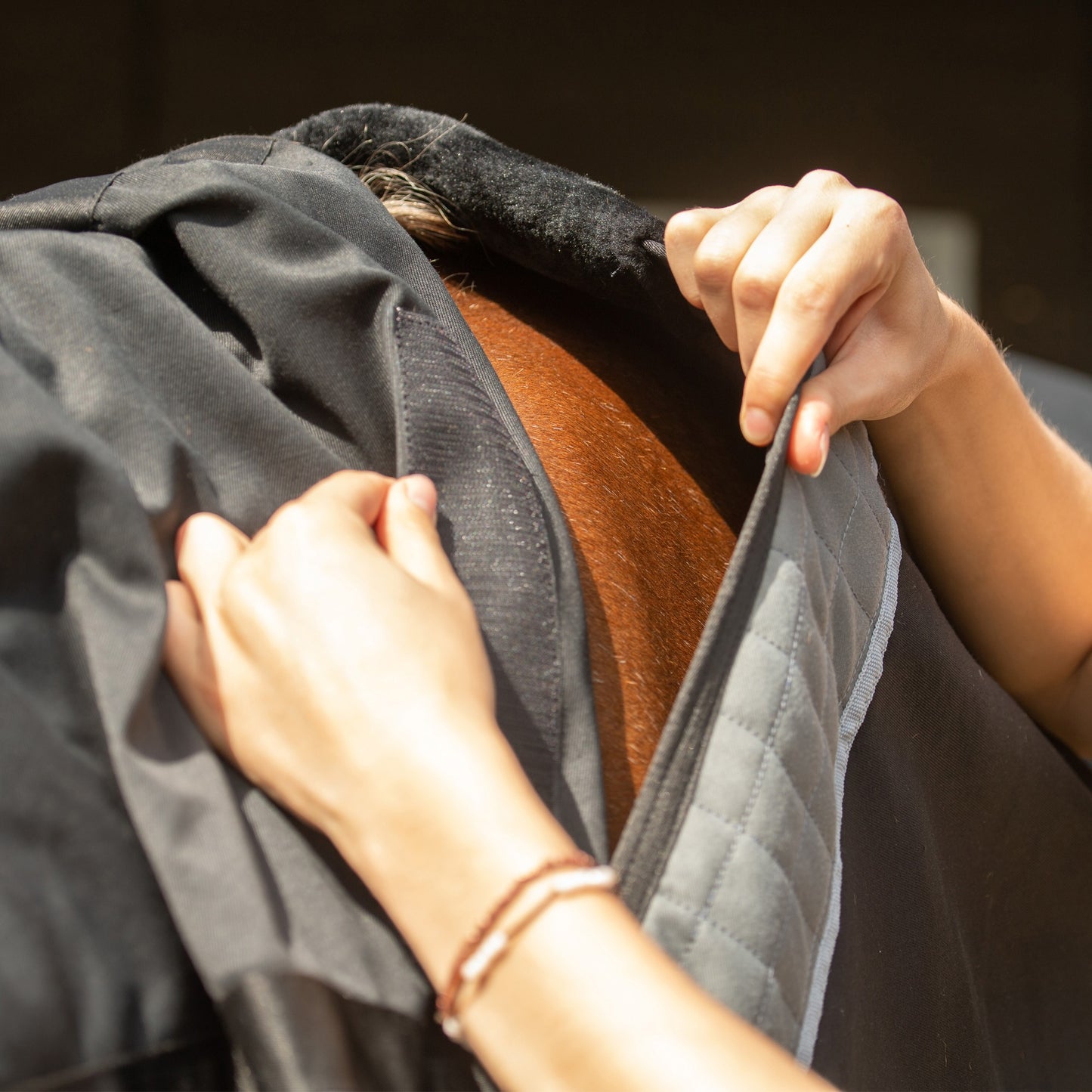 Couverture Magnétique - Soutien articulaire et mobilité cheval | Equilibrium