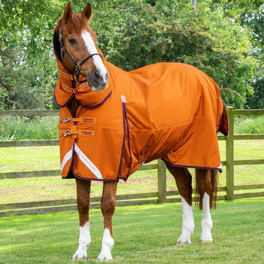 Couverture Buster Storm 200g Imperméable Nylon Balistique 840D avec Couvre-Cou Classique | Premier Equine