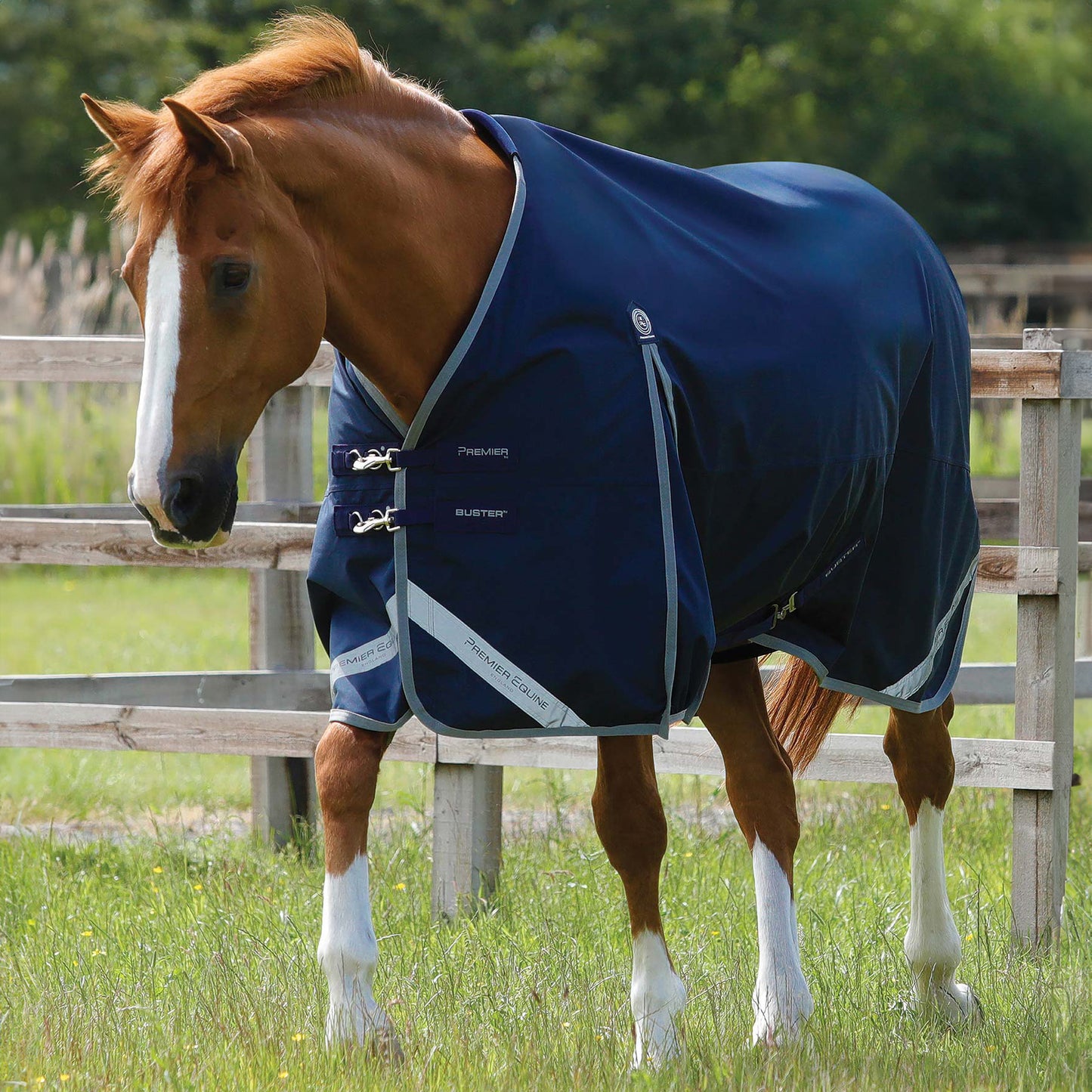 Couverture Impermeable Cheval Buster Zero Original Premier Equine – Sans Garnissage