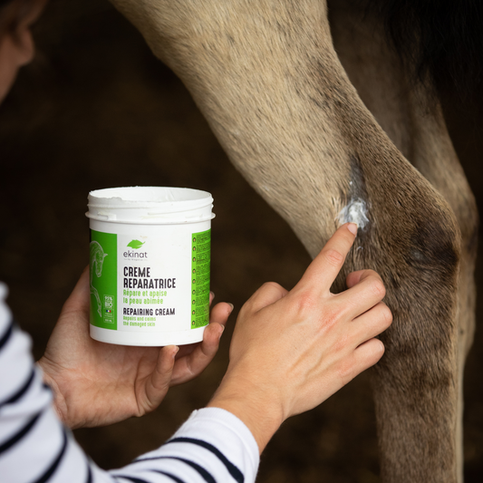 Crème réparatrice cheval – Ekinat bio | Cicatrise & apaise