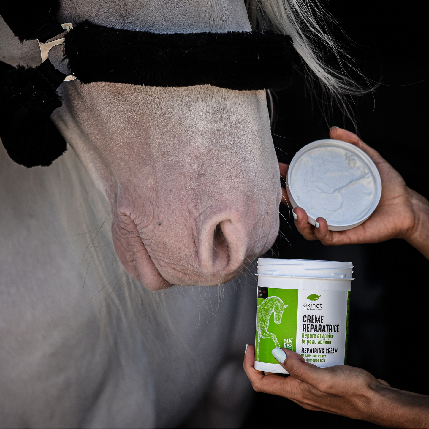 Crème réparatrice cheval – Ekinat bio | Cicatrise & apaise