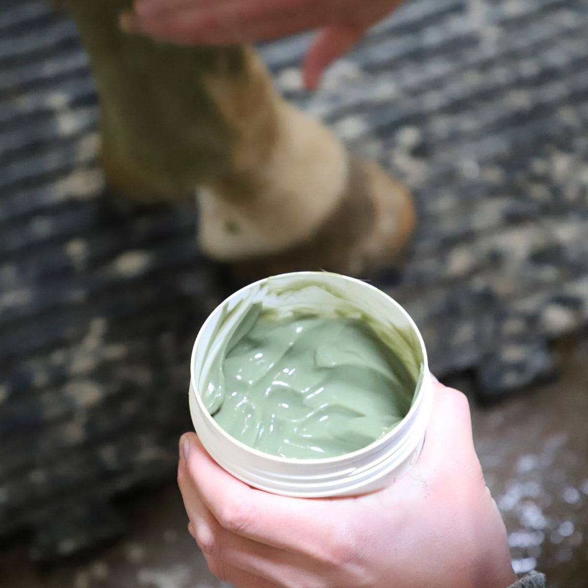 Cryogène Cavasso – Gel Froid Récupération et Confort Cheval