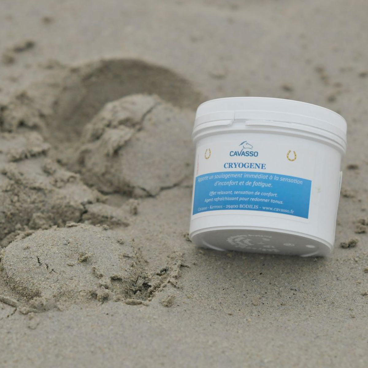 Cryogène Cavasso – Gel Froid Récupération et Confort Cheval