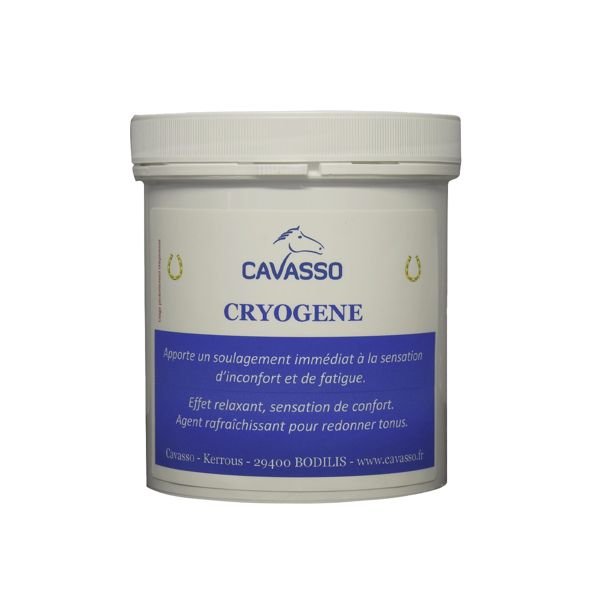 Cryogène Cavasso – Gel Froid Récupération et Confort Cheval