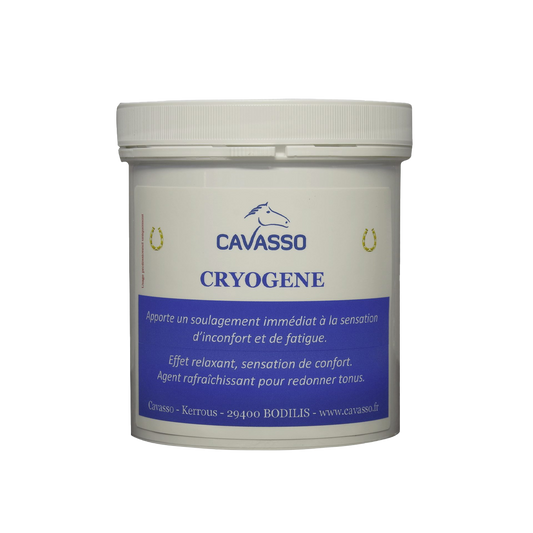 Cryogène Cavasso – Gel Froid Récupération et Confort Cheval