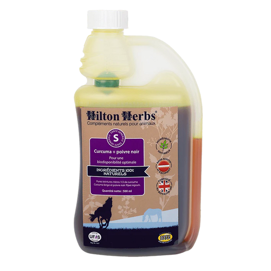 Curcuma + Poivre Noir Teinture Mère – Anti-inflammatoire Naturel Chevaux & Chiens - Hilton Herbs