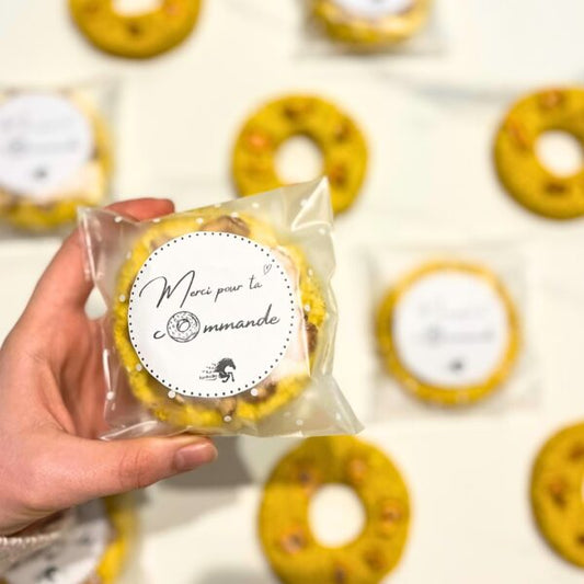 Donutbio-Parasites Carotte et Ail Bio – Friandises Anti-Parasites Naturelles pour Chevaux | EquiNatBio