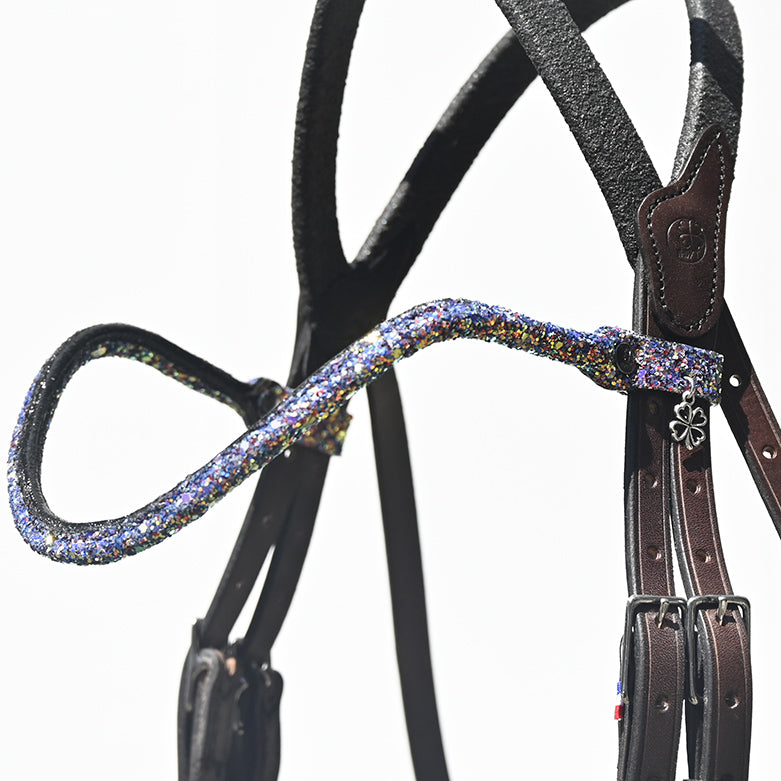 Bridon Evolution IHWT Contact Frontal Disco – Confort et Maintien Optimal pour Chevaux