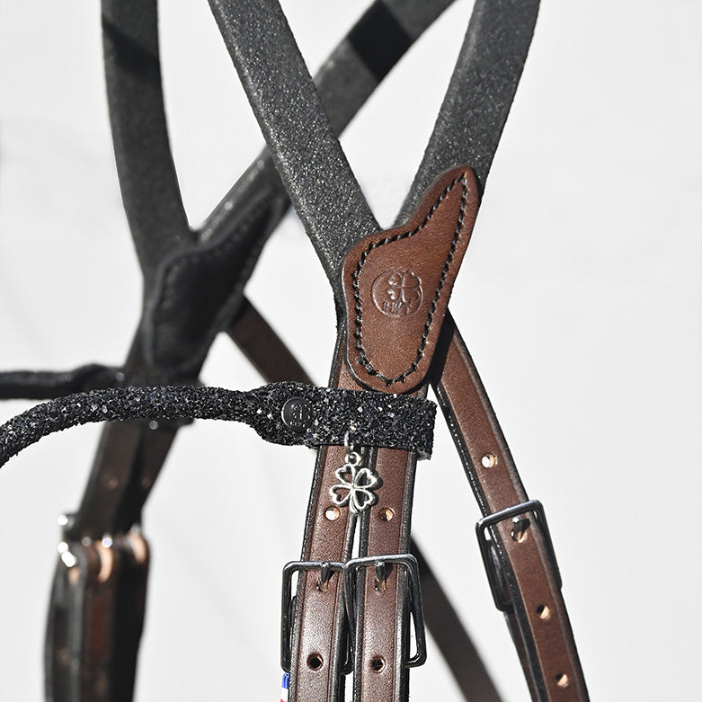 Bridon Evolution IHWT Contact Frontal Disco – Confort et Maintien Optimal pour Chevaux