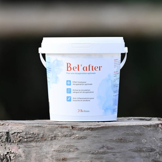 Bel’After - Argile de récupération naturelle pour chevaux | O’BELTAN