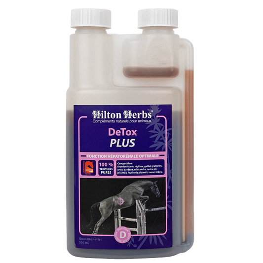 DeTox PLUS Cheval – Détox Foie & Reins | Compatible Compétition - Hilton Herbs