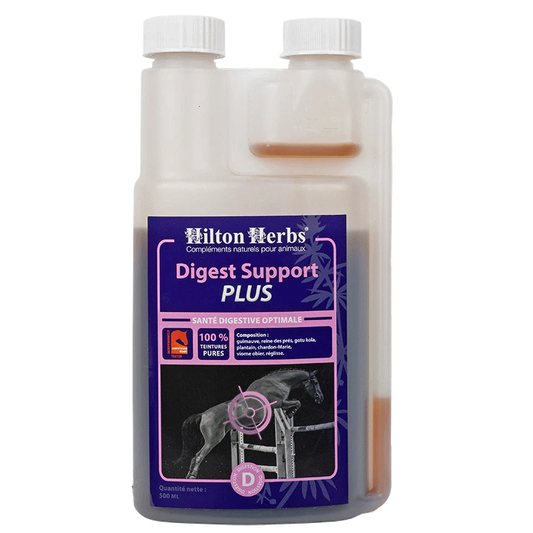 Digest Support PLUS Cheval – Digestion & pH | Non Dopant | Hilton Herbs