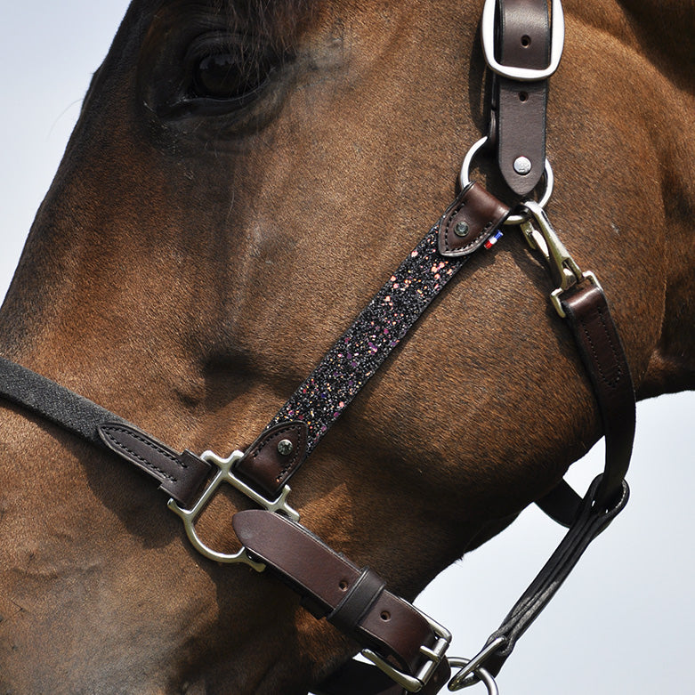 Licol Élégance Disco IHWT – Confort Soft T & Style Personnalisé