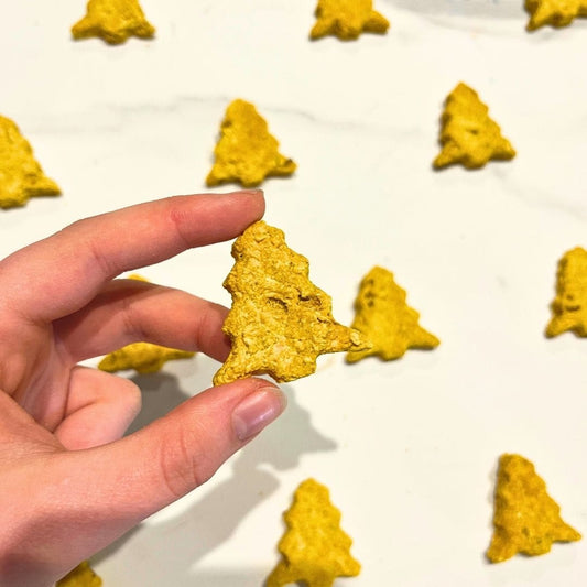 Equibio-Masse Patate Douce et Fenugrec Bio – Friandises pour Chevaux Convalescents et Âgés | EquiNatBio