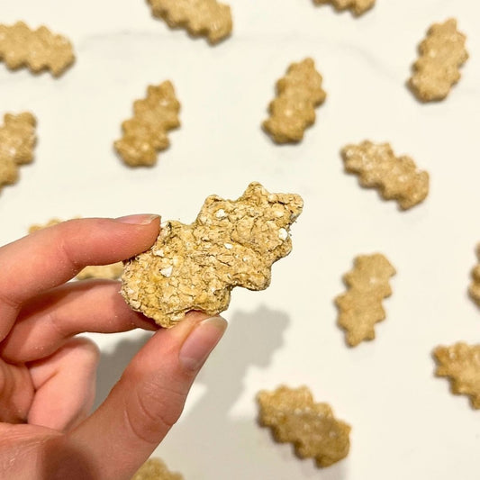 Equibio-Respiration Pomme et Thym Bio – Friandises pour Chevaux aux Voies Respiratoires Sensibles | EquiNatBio