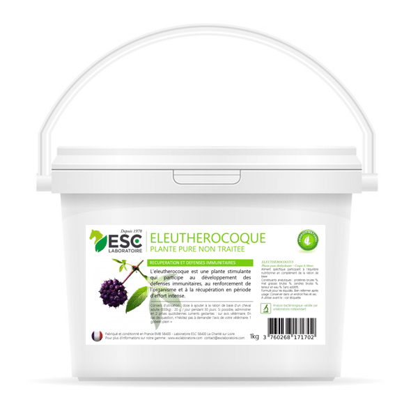 Eleuthérocoque cheval – Plante pure pour défenses immunitaires et tonus – ESC Laboratoire