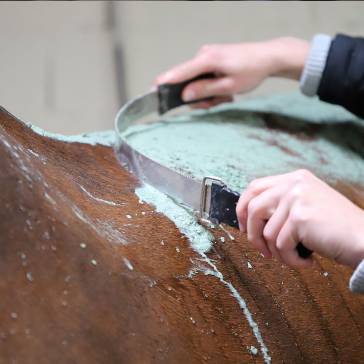 Enveloppement Chaud aux Algues – Soin Détox Cheval Reminéralisant