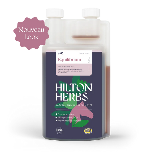 Equilibrium Liquide Cheval – Soutien Hormonal & Comportement Calme | Hilton Herbs
