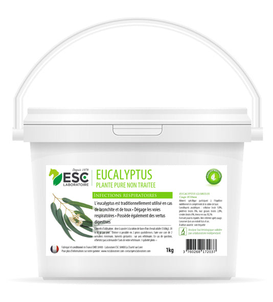 Eucalyptus – Respiration cheval – Plante pure – ESC