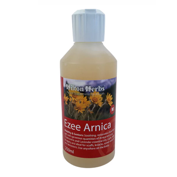 Ezee Arnica – Gel naturel pour coups & hématomes - Hilton Herbs