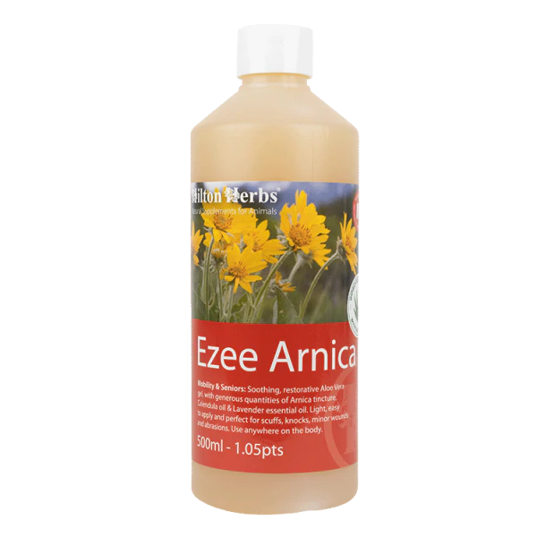 Ezee Arnica – Gel naturel pour coups & hématomes - Hilton Herbs