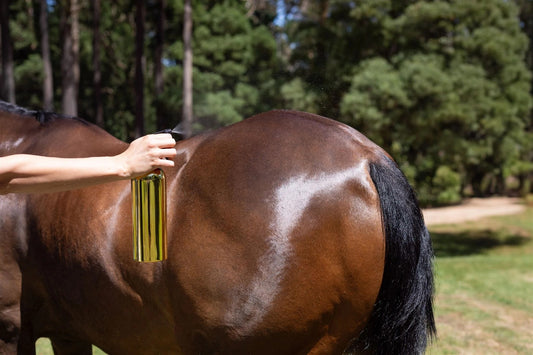 Conditionneur pour Robe aux Huiles Essentielles Hairy Pony – Spray Prêt à l’Emploi