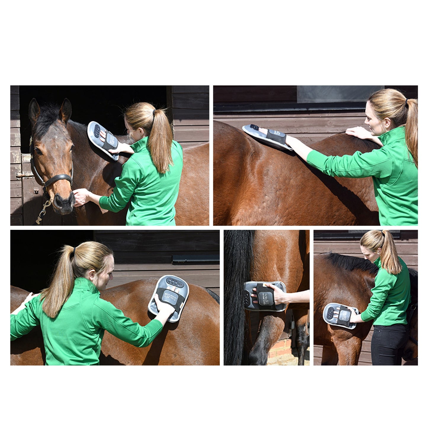 Gant de Massage Equilibrium Therapy – Relaxation musculaire efficace