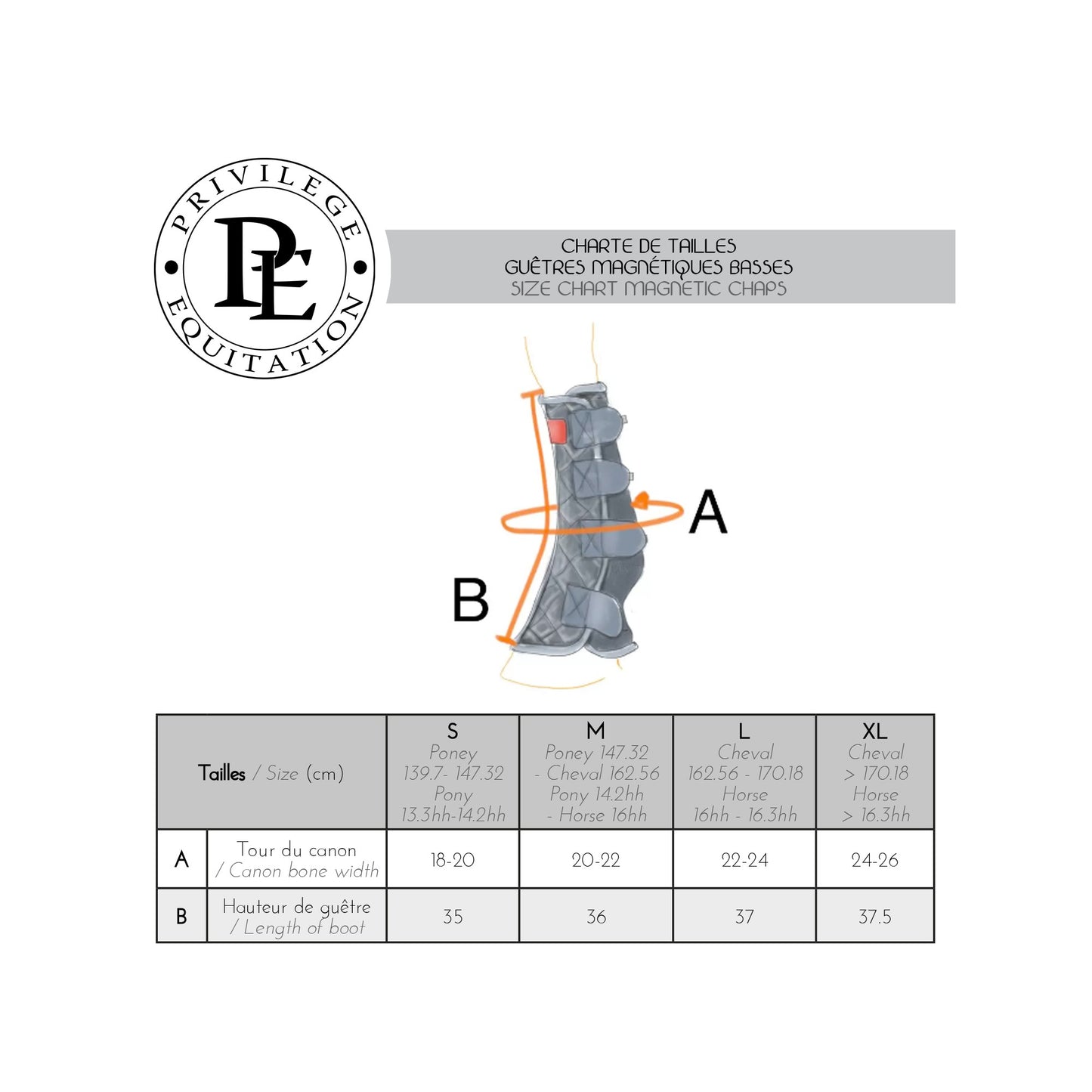 Guêtres Magnétiques Basses - Soutien mobilité cheval | Equilibrium