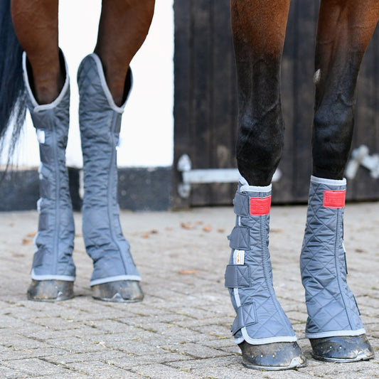 Guêtres Magnétiques Hautes - Soutien articulaire cheval | Equilibrium