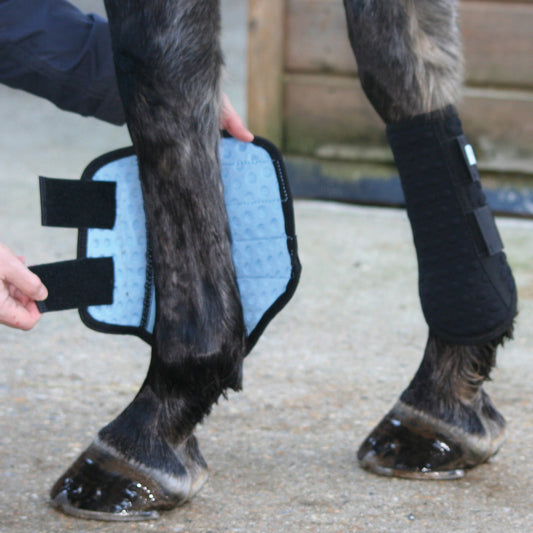 Guêtres S&F Simples - Protection légère et maintien ligamentaire | Equilibrium