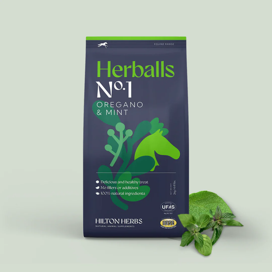 Herballs N°1 Menthe & Origan – Friandises naturelles chevaux - Hilton Herbs