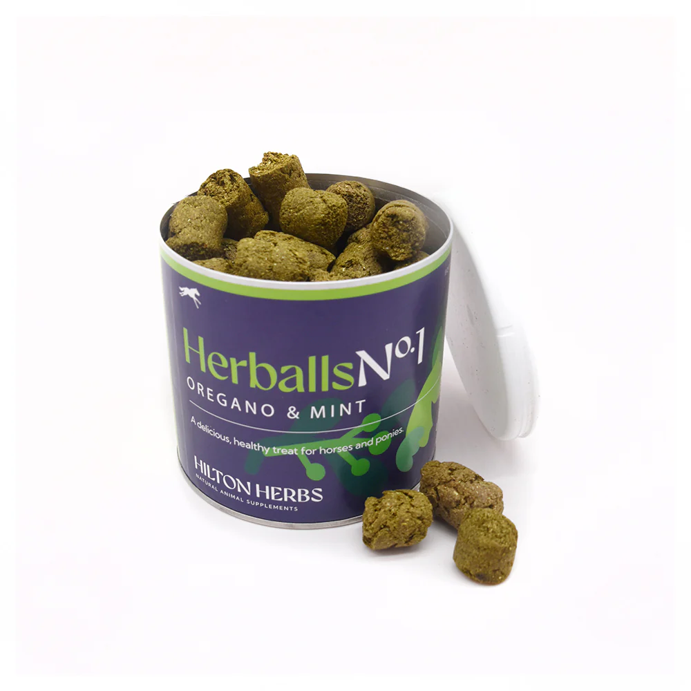 Herballs N°1 Menthe & Origan – Friandises naturelles chevaux - Hilton Herbs