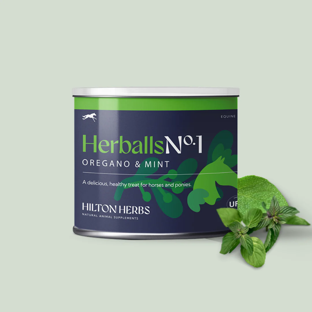 Herballs N°1 Menthe & Origan – Friandises naturelles chevaux - Hilton Herbs