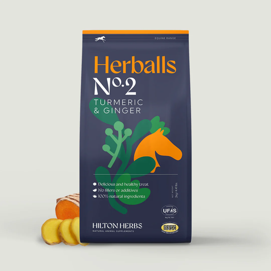Herballs N°2 Curcuma & Gingembre – Friandises naturelles chevaux - Hilton Herbs