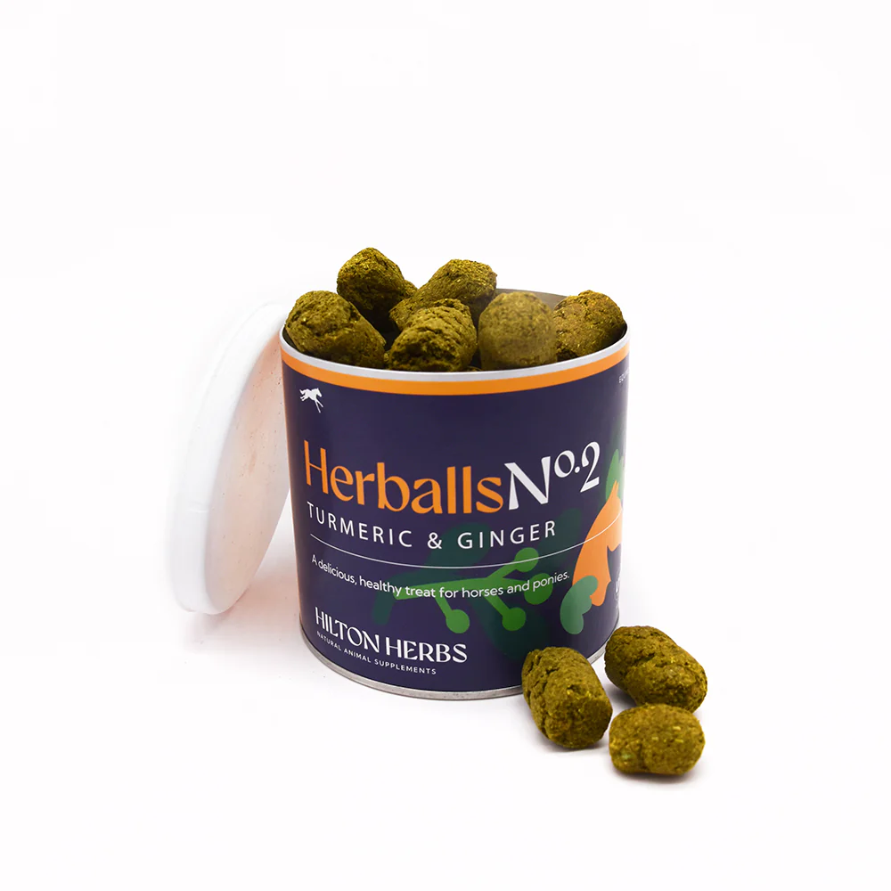 Herballs N°2 Curcuma & Gingembre – Friandises naturelles chevaux - Hilton Herbs
