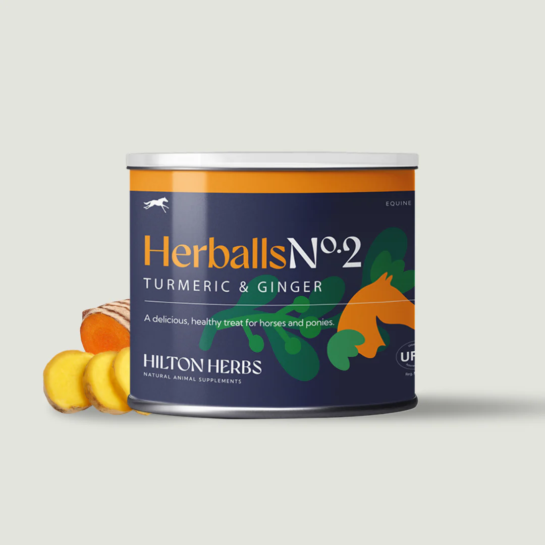 Herballs N°2 Curcuma & Gingembre – Friandises naturelles chevaux - Hilton Herbs