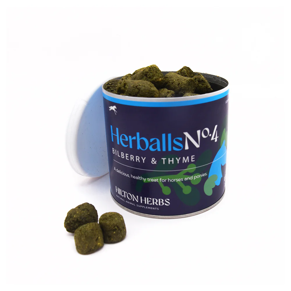 Herballs N°4 Myrtille & Thym – Friandises naturelles chevaux - Hilton Herbs