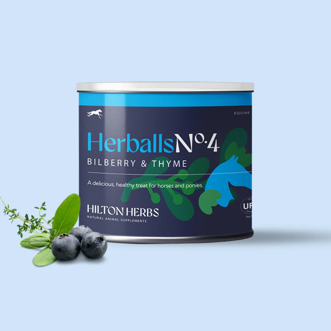 Herballs N°4 Myrtille & Thym – Friandises naturelles chevaux - Hilton Herbs