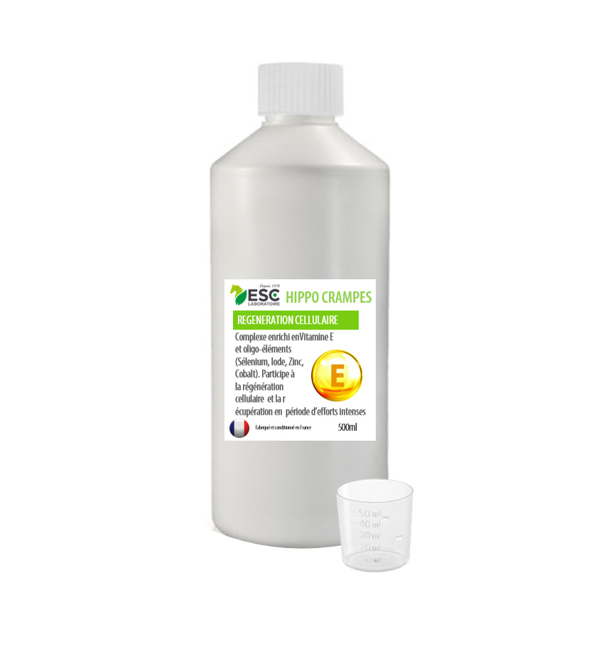 Hippocrampes cheval – Récupération musculaire, fatigue et crampes - ESC