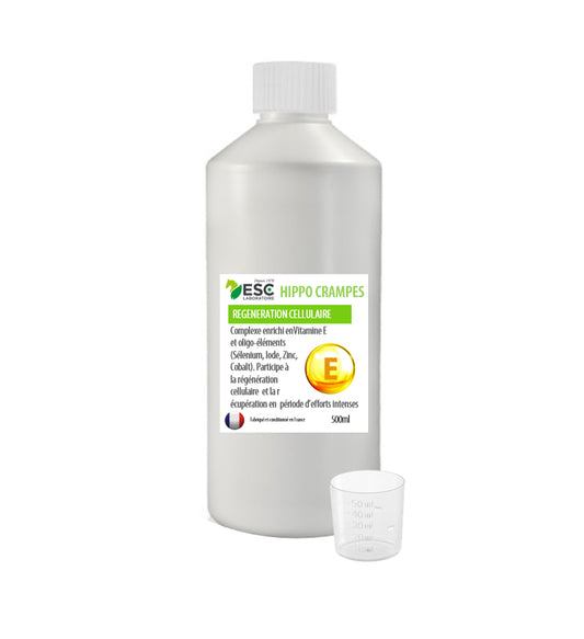 Hippocrampes cheval – Récupération musculaire, fatigue et crampes - ESC
