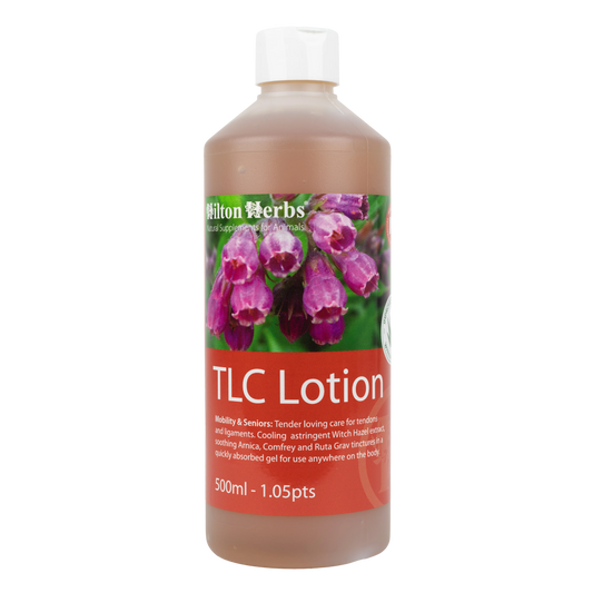 Leg Aid – Crème naturelle pour tendons et ligaments - Hilton Herbs