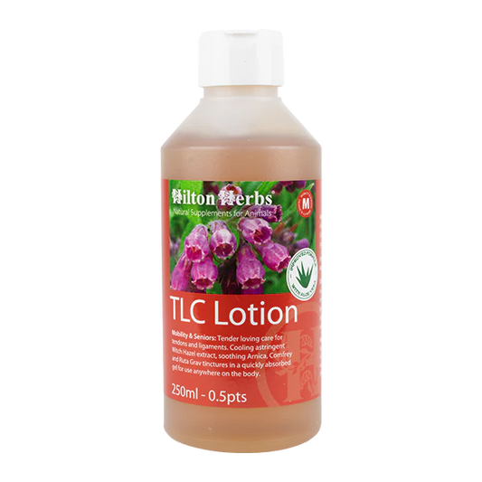 Leg Aid – Crème naturelle pour tendons et ligaments - Hilton Herbs