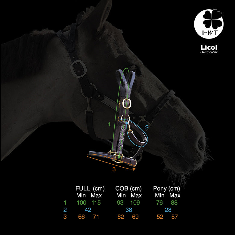 Licol Élégance Disco IHWT – Confort Soft T & Style Personnalisé