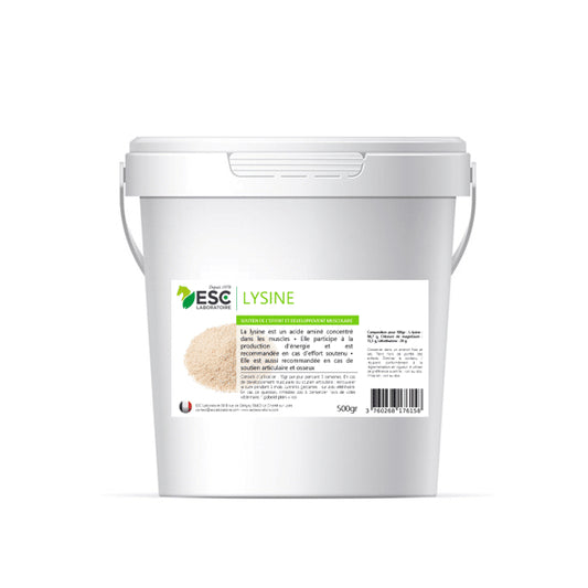 Lysine + – Complément cheval pour développement musculaire et soutien de l’effort - ESC