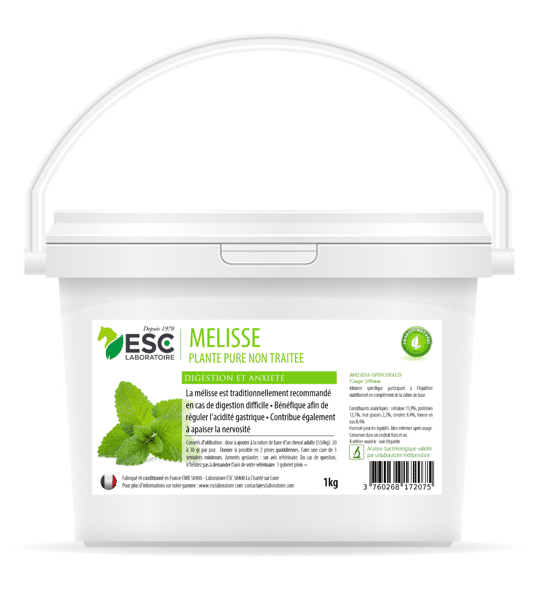 Mélisse – Estomac sensible et acidité gastrique cheval – Plante pure ESC