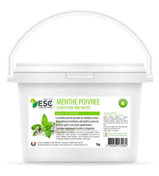 Menthe Poivrée – Estomac sensible cheval – Plante pure ESC