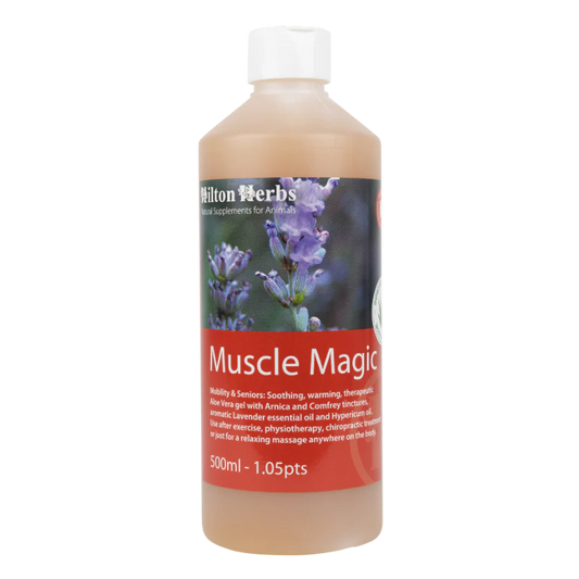Muscle Magic – Gel apaisant muscles pour chevaux et chiens - Hilton Herbs